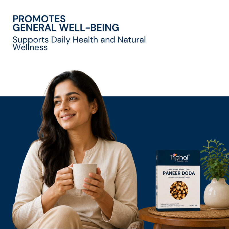 Triphal Paneer Doda (Paneer Phool) dried flowers for Ayurvedic health and wellness