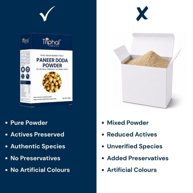 Triphal Paneer Doda Powder vs ordinary brands — pure Withania coagulans powder, no fillers, zero adulteration