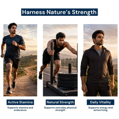 Triphal Shilajit Resin — supports stamina, strength and daily vitality through active living