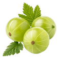 Amla