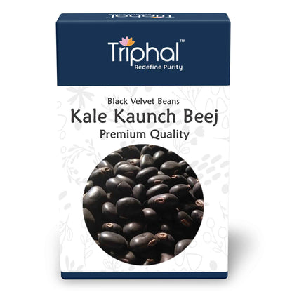 "Premium quality Kaunch Beej Kale or Konch Bij (Black Velvet Beans or Mucuna Pruriens), sourced directly from India - A natural superfood rich in L-dopa, protein, fiber, and essential minerals - Available in whole seed form for enhanced testosterone, mood, fertility, and wellness.